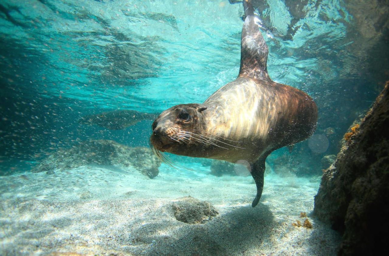 Enchanted Galapagos Lodge プエルトアヨラ エクステリア 写真